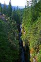 Fresh water run off from Mount Rainier in Mount Rainier National Park, Washington, USA