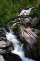 Fresh water run off from Mount Rainier in Mount Rainier National Park, Washington, USA