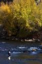 Angler fly fishing on the South Fork of the Boise River in Elmore County, Idaho, USA.