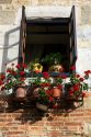 Flower pots in the window of a building in the village of Santillana del Mar, Cantabria, Spain.