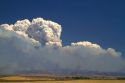 Pyrocumulus cloud created by a wildfire near Boise, Idaho, USA.