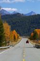 Trees in autumn color along Highway 75 near Ketchum, Idaho, USA.